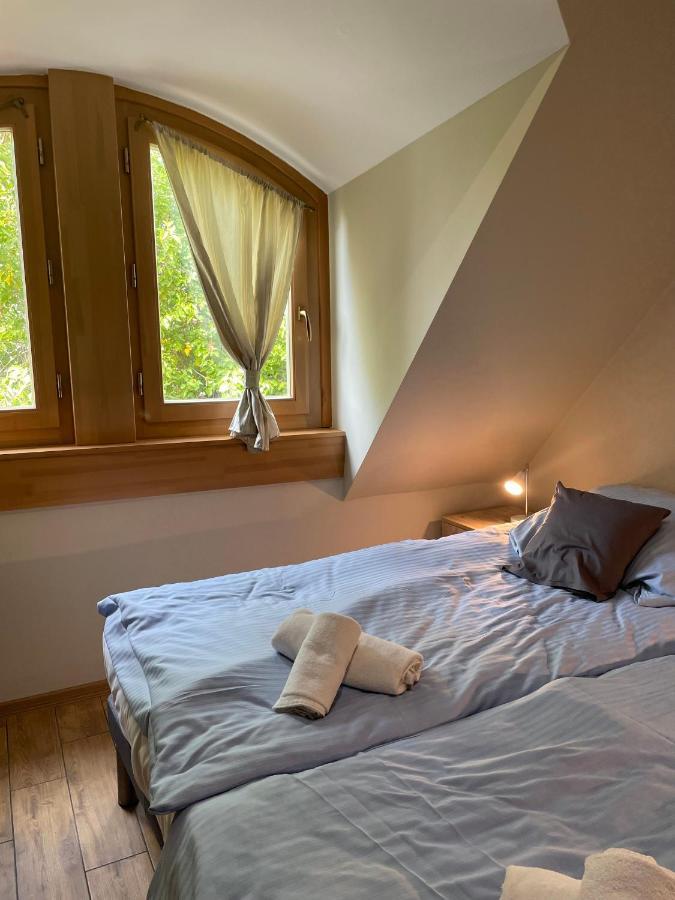 Kenguru Panzio Hotel Hodmezovasarhely Luaran gambar