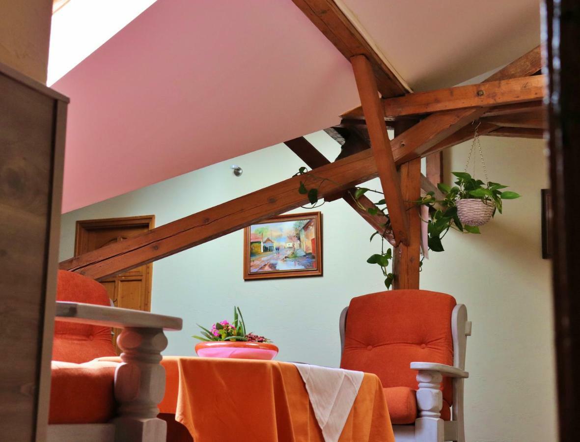 Kenguru Panzio Hotel Hodmezovasarhely Luaran gambar